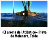 Melenara, una playa de arena volcnica en Telde, Gran Canaria, de la que se hace eco Sal del Atlntico