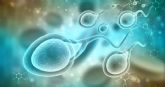 Tcnicas que mejoran la calidad de los espermatozoides