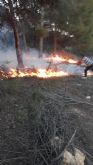 Extinguido conato de incendio forestal declarado esta tarde en Moratalla