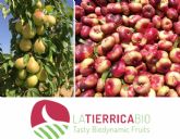La consultor�a CEDEC colabora con FRUTAS GARC�A VARGAS y su marca de productos ecol�gicos LA TIERRICA BIO