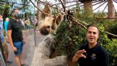Loro Parque conmemora el D�a del Perezoso con un v�deo de estos animales tan lentos como fascinantes