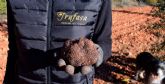 La trufa negra de cultivo sostenible de Trufasa, la gran protagonista de la temporada de la trufa