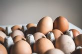 Despensa ecolgica explica las diferencias entre huevos ecolgicos y camperos