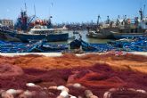 Luis Planas: El Gobierno rechaza la propuesta de la Comisión Europea de reducir un 18 % las capturas de merluza del Cantábrico para 2022