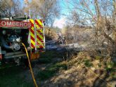Dan por extinguido el incendio forestal declarado en la margen izquierda del río Mula en Albudeite