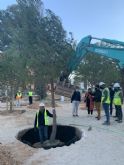 El Parque Almansa incorpora 130 nuevos pinos entre los 200 árboles que incrementan su masa arbórea