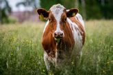 SATECMA realiza una campaña radiofónica en Onda Agraria para promover sus soluciones para la ganadería