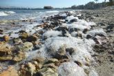 El IEO alerta del riesgo de un nuevo episodio de anoxia en el Mar Menor por el estado de eutrofizacin de la laguna