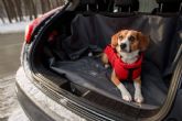 Distribuciones Cantelar dispone de protector maletero perro con material PVC