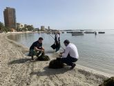 La Comunidad retira más de 10.500 toneladas de biomasa del Mar Menor