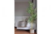 La innovaci�n en la decoraci�n y las plantas decorativas artificiales, por Zamyo
