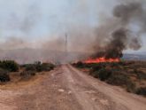 La direcci�n de la extinci�n da por CONTROLADO el incendio forestal declarado en El Saladillo, en Mazarr�n