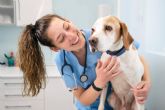 Curso de Auxiliar Veterinario de la mano de VetFormaci�n
