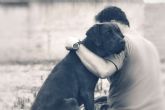 Perros de apoyo emocional para la prevencin del suicidio