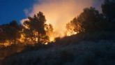 Incendio forestal en Macisvenda, Abanilla