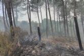 El MITECO pone en marcha la restauración forestal de emergencia en la zona afectada por el incendio de la Sierra de la Culebra