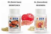 Las propiedades de Ganoderma Lucidum para mejorar la salud, por La Tienda de Crist�bal