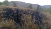 Conatos de incendios forestales en Jumilla y Yecla