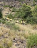 Actualizacin de efectivos que trabajan en la extincin del incendio forestal de sierra larga