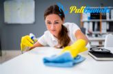 PULIGAVIOTA aconseja c�mo elegir una empresa de limpieza profesional
