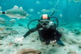 ?Por qu� el buceo en Koh Tao se ha convertido en una tendencia?, por Nitro Koh Tao