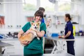 ?Qu� cubre el seguro veterinario de Barkibu?