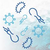 Cmo adelantarse al otono con Quinton Medical Probiotic Digest Health, primer probitico de agua de mar