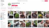 Cmo convertir una empresa en viral gracias a TikTok, segn SproutWorld