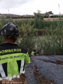 Bomberos del Consorcio de Extinción de Incendios y Salvamento de la Región de Murcia rescatan un perro en Archena