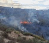 Incendio forestal en Molina de Segura