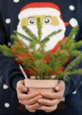 Regalos de Navidad ecolgicos: un lpiz y un maquillaje plantable de SproutWorld