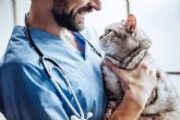 Obtener y convalidar el t�tulo de Auxiliar de Veterinaria es posible con VetFormaci�n