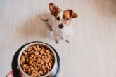 Contribuir al bienestar de las mascotas con snacks naturales