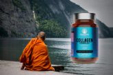 Las propiedades del colgeno de la marca americana Dharma Supplements