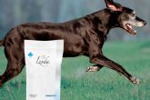 Lenda VET Nature mejora la salud articular canina