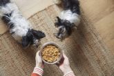 ?Cules son los beneficios de la comida natural para perros?