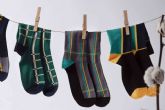 Algodn cosechado en Espana. La apuesta de Socks Market para revolucionar el sector de la moda sostenible