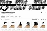 Salinas Packaging Group crea una colecci�n de NFTs que une sostenibilidad y tecnolog�a blockchain