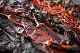 Comprar chiles secos, salsas y picantes mexicanos aut�nticos de la mano de Ma�z Maya