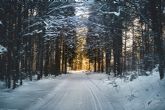 Ante la previsin de nevadas, imprescindible consultar el estado de las carreteras y llevar cadenas o neumticos de invierno