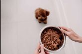 Las diferencias entre la dieta BARF vs comida natural para perros cocinada, por Dogfy Diet
