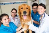 Vetformaci�n explica cu�nto tiempo dura un curso de auxiliar de veterinaria