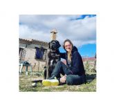 Los animales pueden aprender comportamientos nuevos en la guarder�a canina PERROBUENO, en Madrid