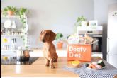 Dogfy Diet y los beneficios de la comida natural para perros