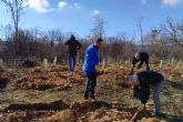 Zamora recupera sus bosques quemados gracias a FOXY (ICT Ib�rica), la Fundaci�n Alcoraz y CO2 GESTI�N