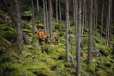 STIHL apuesta por la prevenci�n en invierno como arma contra los incendios