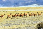 Mayuru Tour permite descubrir los rincones m�s impresionantes de Chile
