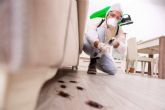 Combatir infestaciones con una empresa de control de plagas