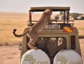 UDARE, safaris por �frica, Trekkings y viajes de aventura