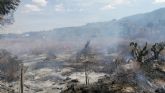 Incendio en terreno agrícola abandonado en El Canarico